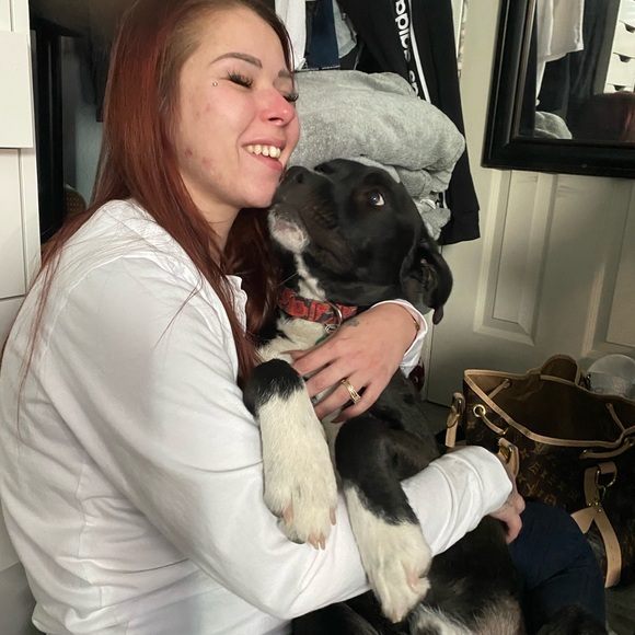 Meet your Posher, Raven - Picture 1 of 1